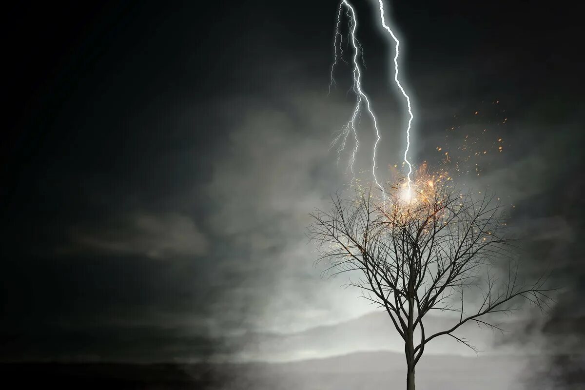 Небо почернело треснуло и раскололось молнией. Молния в дерево. Удар молнии в дерево. Молния ударила в дерево. Дерево Расколотое молнией.