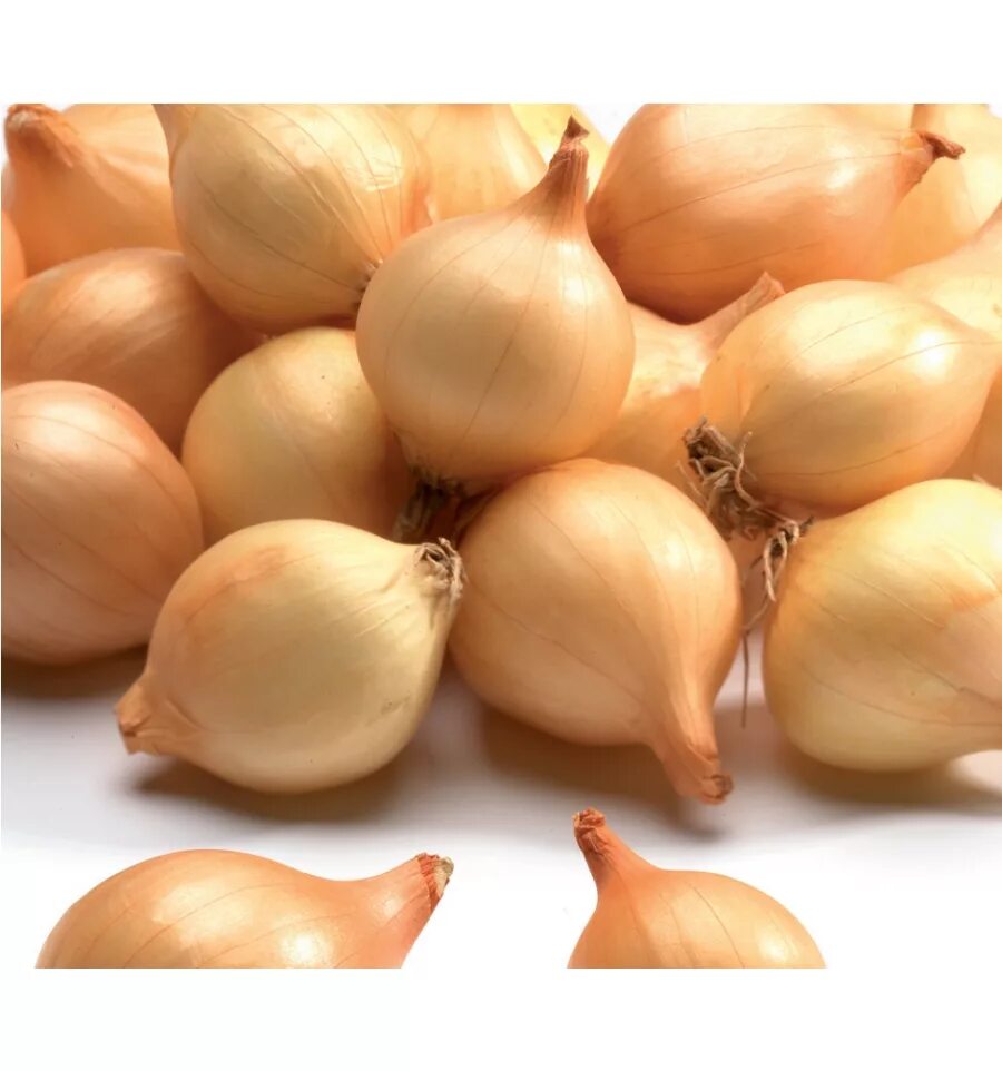 лук севок описание сорта фото отзывы. лук севок описание сорта фото отзывы. лук севок купидо. лук-севок геркулес f1. лук севок 1кг штуттгартер ризен.