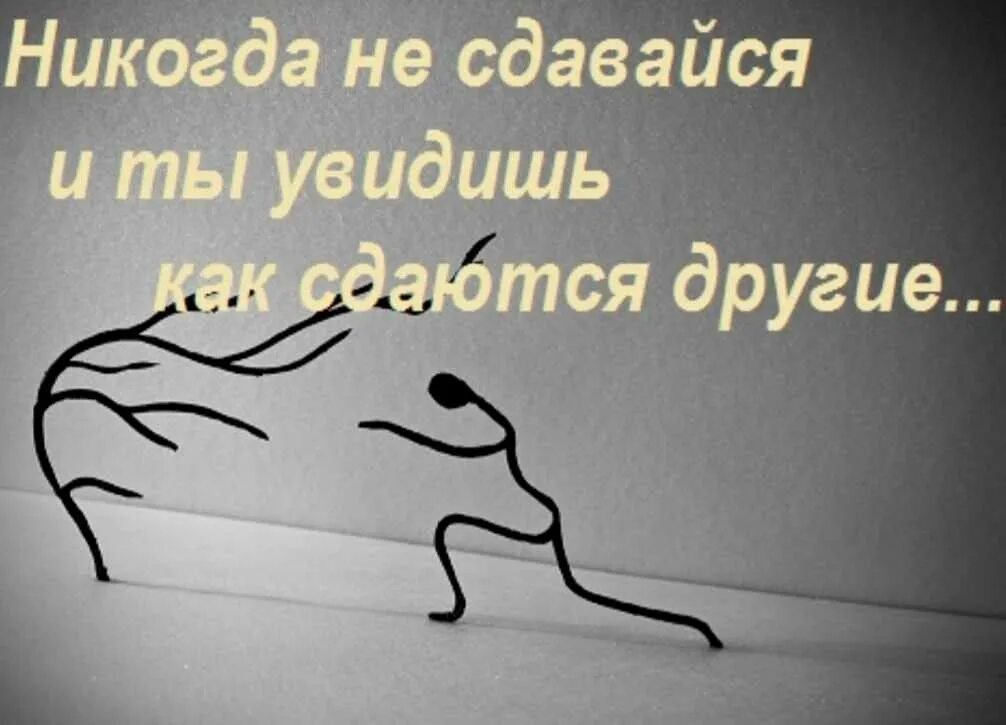 Никогда цитаты. Цитаты никогда не сдаваться. Никогда не сдавайся цитаты. Не сдавайся цитаты.