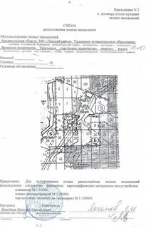 Договор купли лесных насаждений