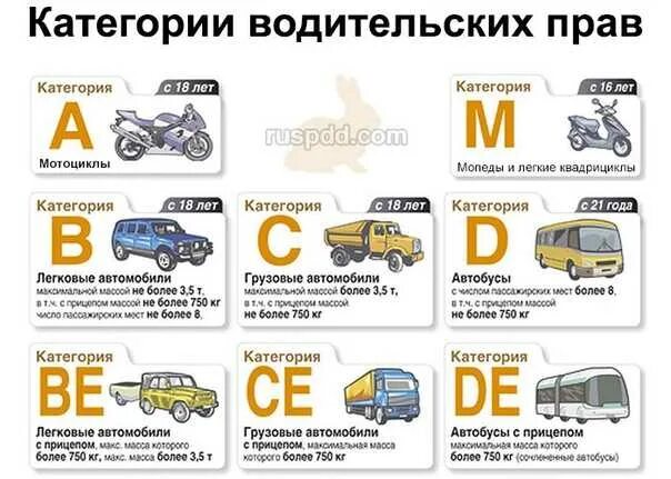 Можно ездить по московской области. Категории прав м1 расшифровка. Категории водительских прав с расшифровкой b,b1,m. Категории водительских прав 2021 таблица с расшифровкой. Категории водительских прав в1 механика.