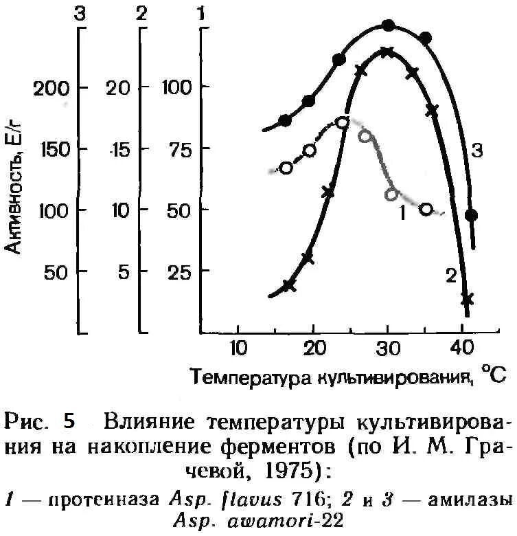 Температура при культивировании микроорганизмов. Влияние температуры на микроорганизмы. Влияние РН на микроорганизмы. Влияние температуры на рост микроорганизмов. Изменение температуры ферментов