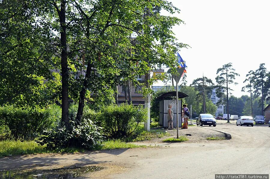 Погода в большой ижоре. Большая Ижора развалины. Большая Ижора Ломоносовский район. Поселок большая Ижора Ленинградская область. Большая Ижора пляж.