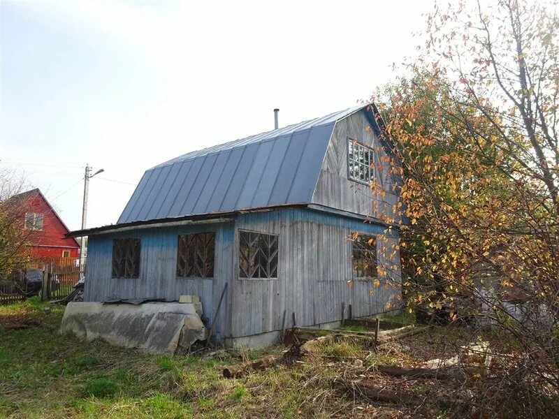 Дача снт лесная поляна. Дача снт лесная поляна. Дача снт лесная поляна. Дача снт лесная поляна. Снт лесное озерский район.