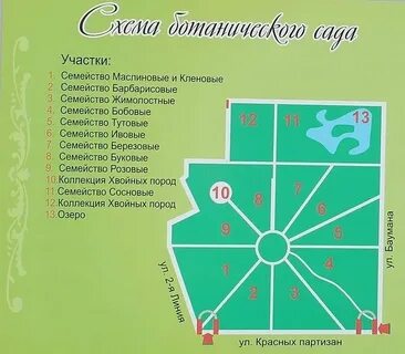 Какой номер сада