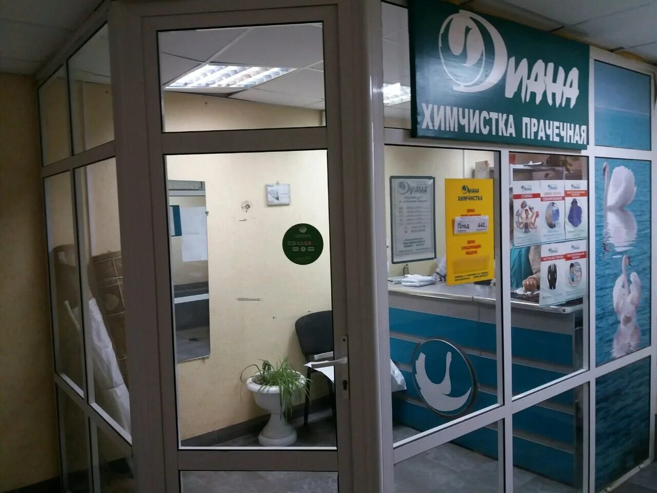 химчистка ашан иваново. химчистка реалстар иваново ясень. химчистка диана иваново. химчистка реалстар иваново. химчистки иваново адреса.