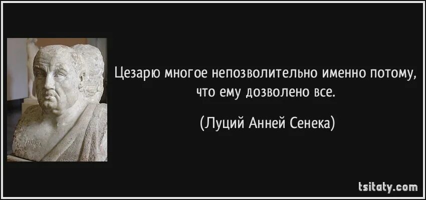 Луций Анней Сенека цитаты. Луций Анней Сенека век живи век учись тому как следует жить. Высказывания Сенеки. Афоризмы о жизни Сенека.