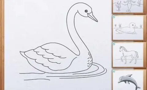 Как нарисовать лебедя для начинающих