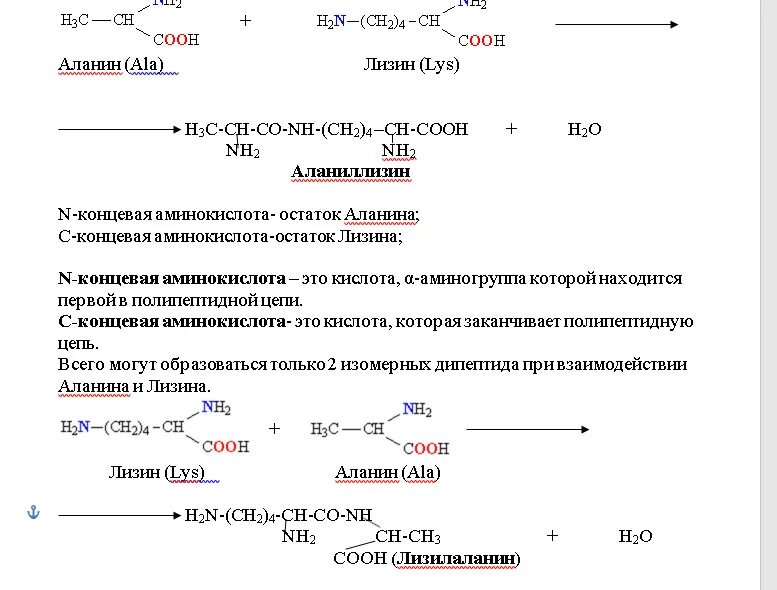 Уравнение реакции образования дипептида (аланин аланин). Реакция образования глицин аланин. Образец дипептида природного