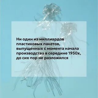 День отказа от полиэтиленовых пакетов