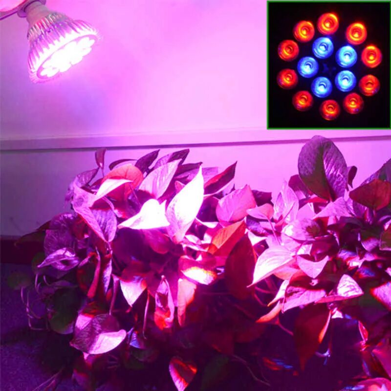 Фито свет полный спектр. Фитолампа фотосинтез-45 для подсвечивания растений. Фитолампа 45 ватт. Фитосвет в интерьере. Фитолампа 2 Вт 48 диодов.