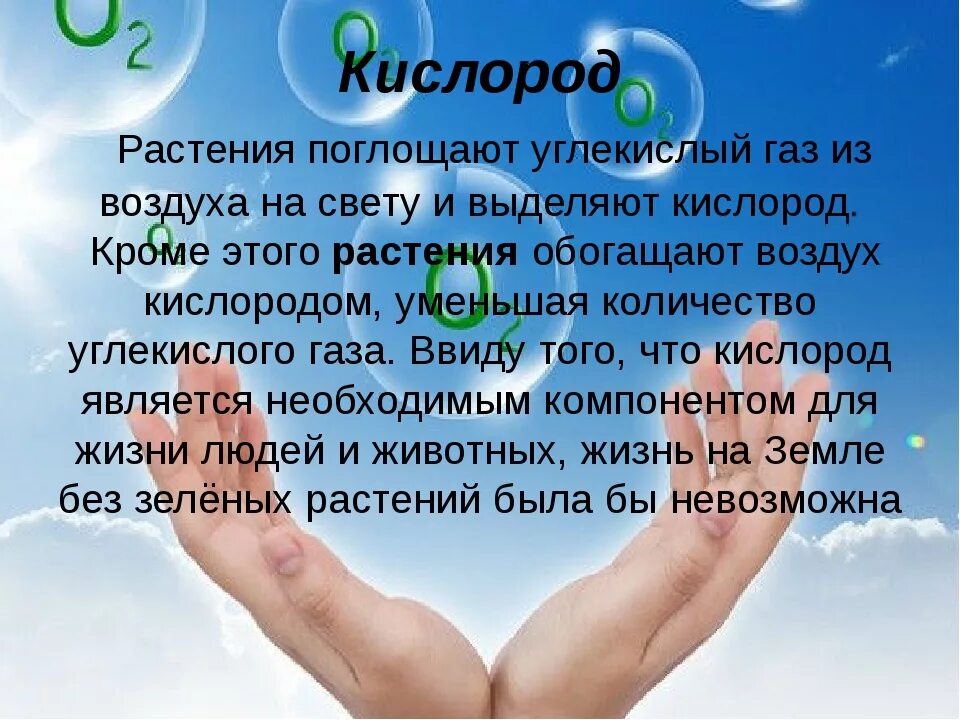 Будь проще кислород. Что поглощают растения из воздуха. Роль кислорода для жизни на земле. Кислород в жизни животных. Кислород для человека.