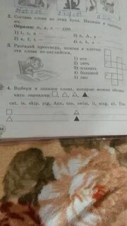 Выберите три слова которые составляют белый треугольник