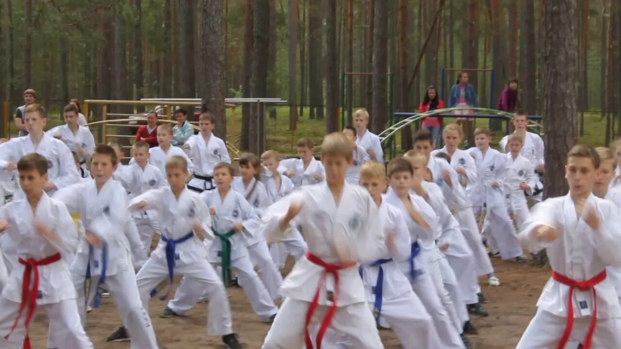 Лагерь. Зеркальный курган. Зеркальный лагерь курган. Лагерь островского курганская область. Двери в учреждении культуры.