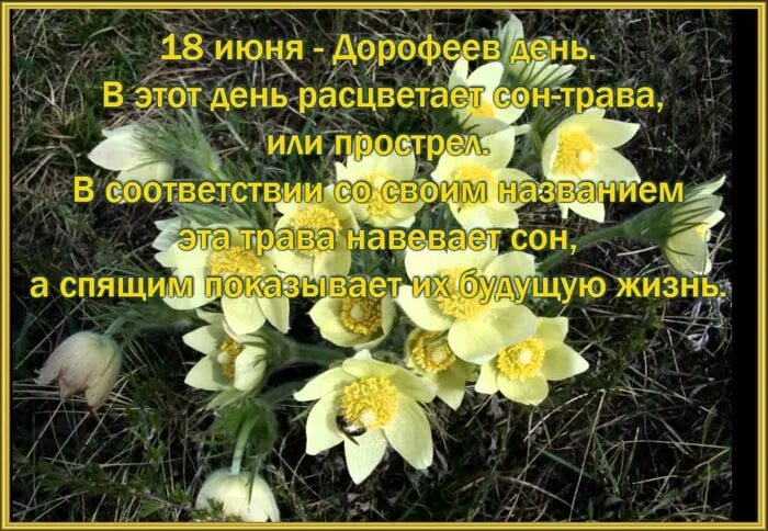 Дорофеев день. Дорофеев день народный праздник. 18 Июня народный календарь. 18 Июня праздник Дорофеев день.