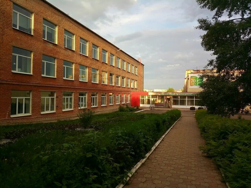 агропромышленный колледж пермь. агропромышленный техникум пермь. пермский агропром техникум. пермский агропромышленный техникум с. пермский агропромышленный техникум общежитие.