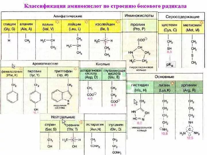 Аминокислотные радикалы. 20 Аминокислот классификация. 20 Аминокислот формулы классификация. Классификация Альфа аминокислот по радикалу. Классификация белковых аминокислот.