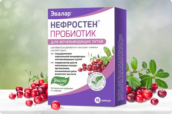 Нефростен эвалар от цистита инструкция по применению. Эвалар цистита нефростен. нефростен вишня. нефростен клюква эвалар. нефростен пробиотик.