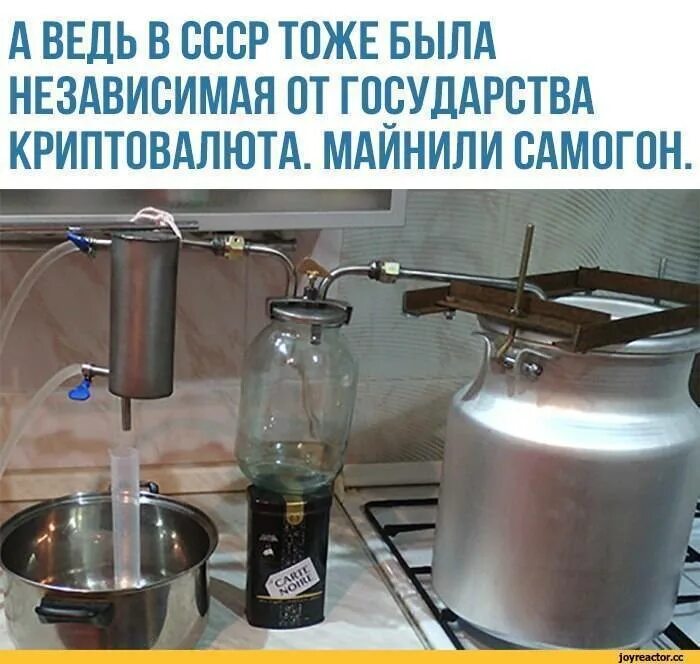 Жрет самогон