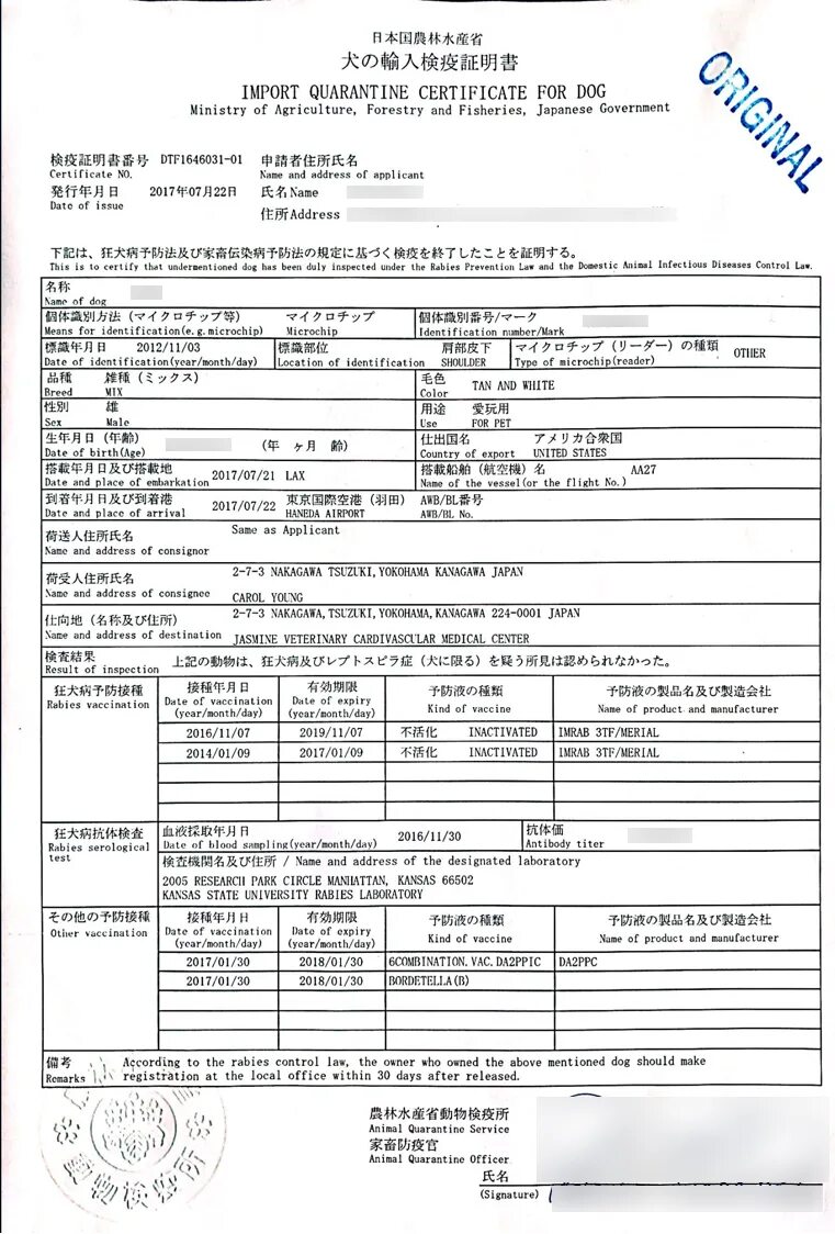 Import certificate. Rabies vaccination Certificate. Veterinary Certificate. Rabies vaccination Certificate образец заполнения. Сертификат здоровья (Health Certificate).