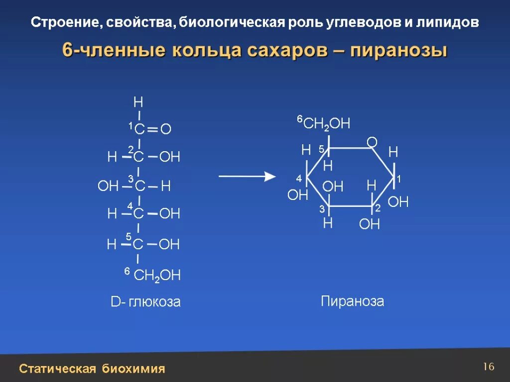 Строение и свойства углеводов