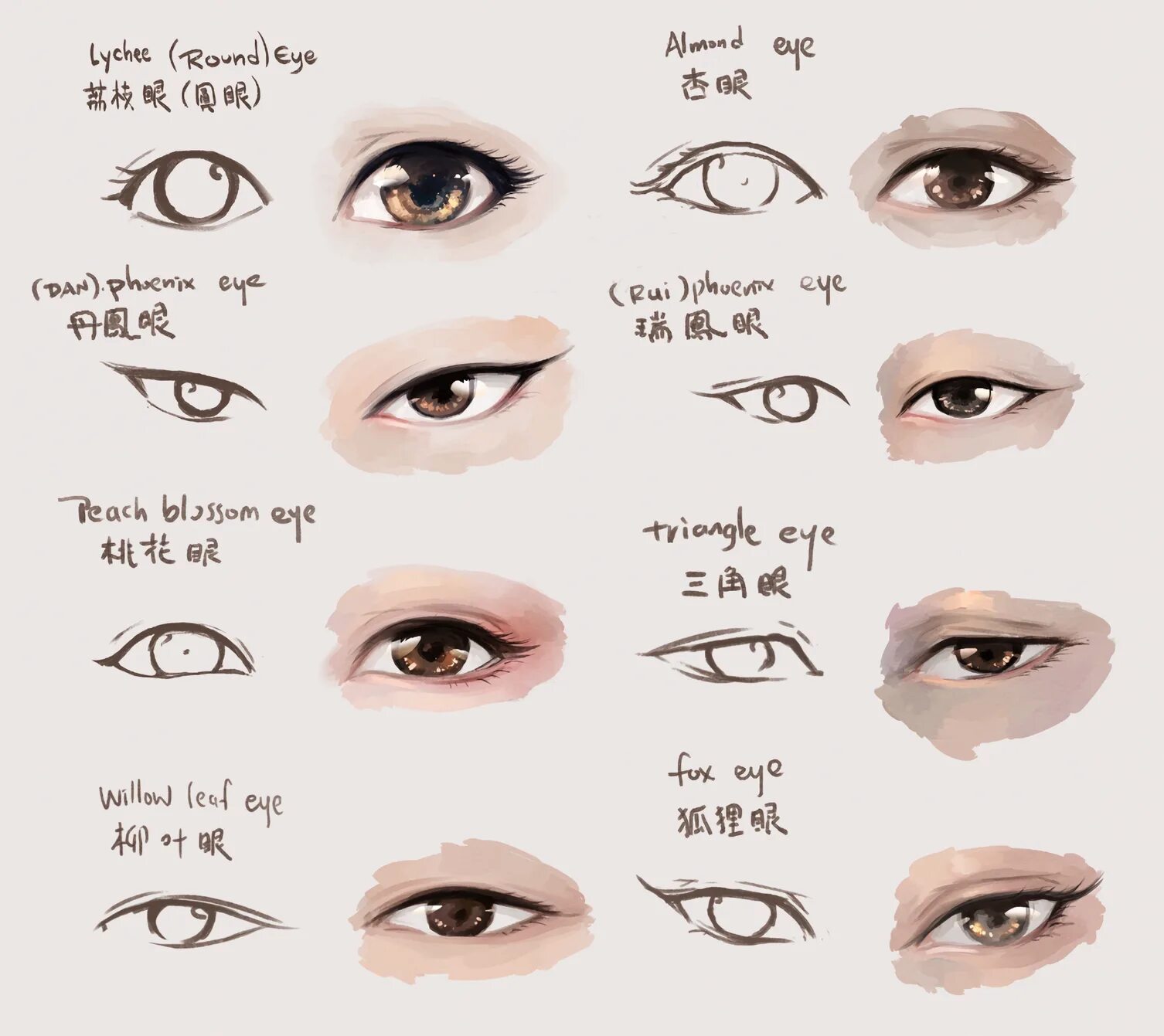 Form eyes. Названия разрезов глаз. Китайские глаза рисунок. Разрез глаз Феникса. Формы глаз.