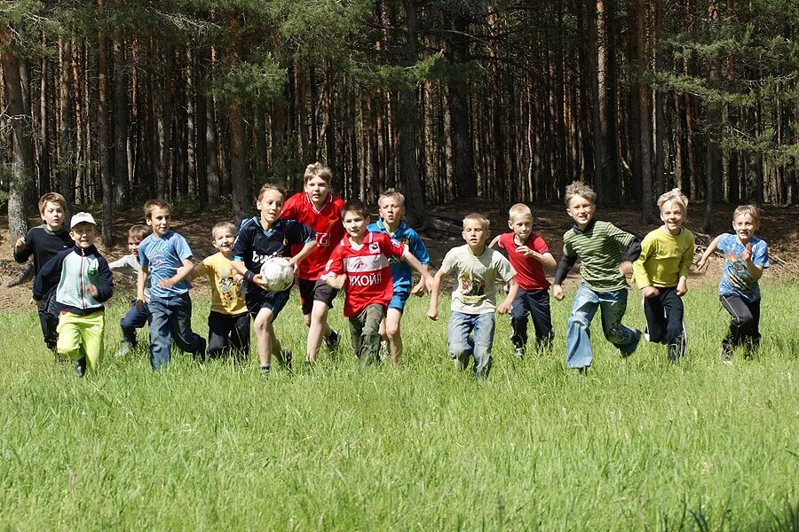 Рейтинг загородных лагерей. Детского оздоровительного лагеря «Солнечная Поляна». Солнечная Поляна Каштак лагерь. Лагерь Звёздный Псковская область. Лагерь Солнечный Псковская область.