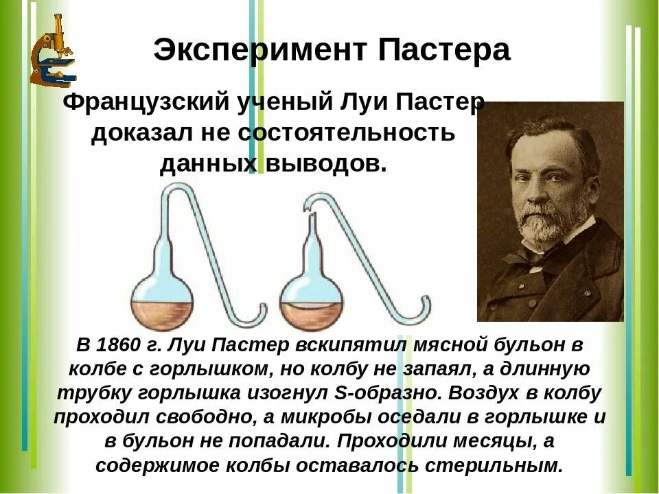 Опыт Луи Пастера. Луи Пастер самозарождение жизни. Эксперименты Луи Пастера доказали что. Луи Пастер опыт с бульоном.