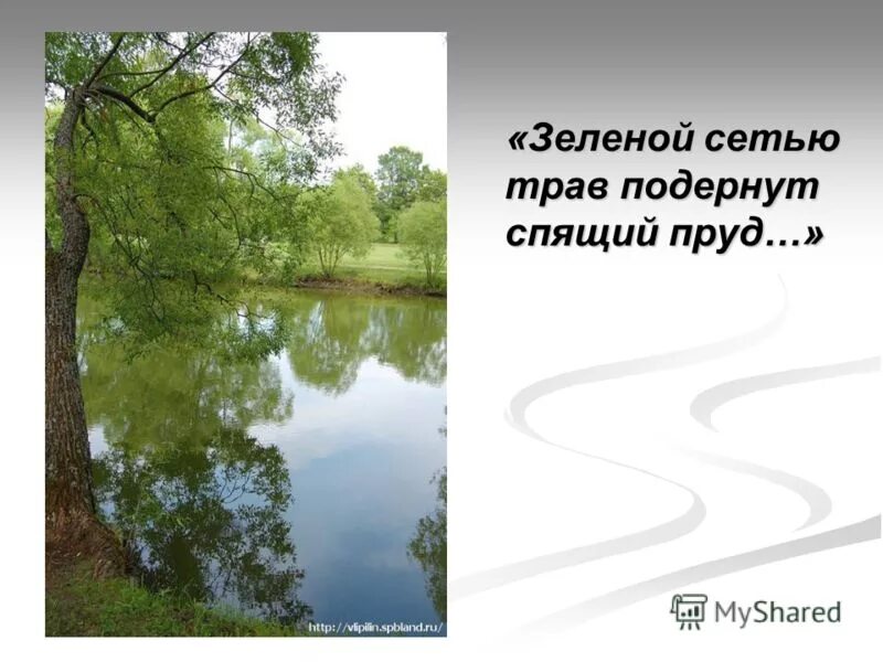 зеленой сетью трав подернут спящий