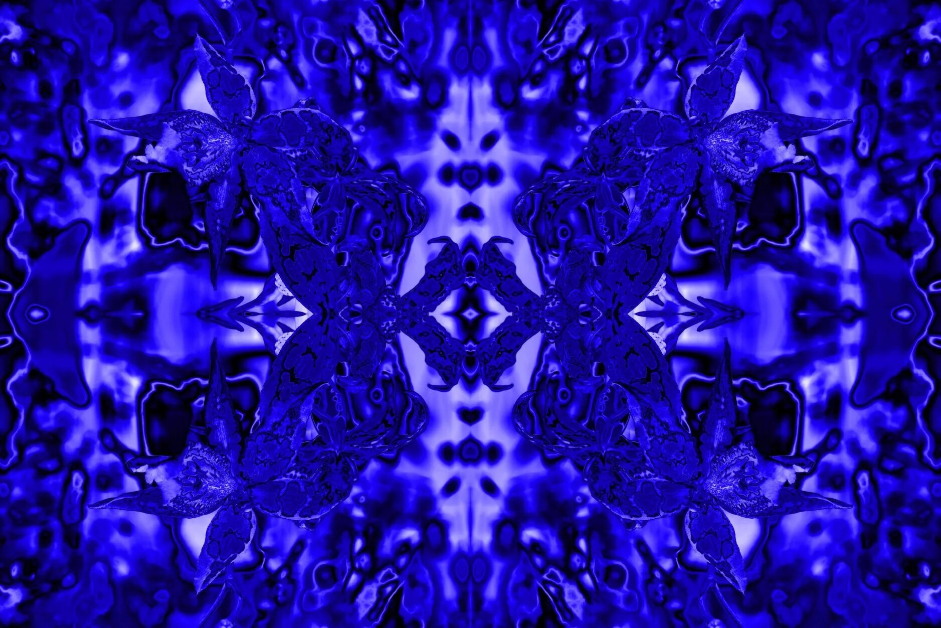 индиго цвет. дети индиго фильм 2012. дети индиго признаки. что означает индиго человек. дети индиго презентация.