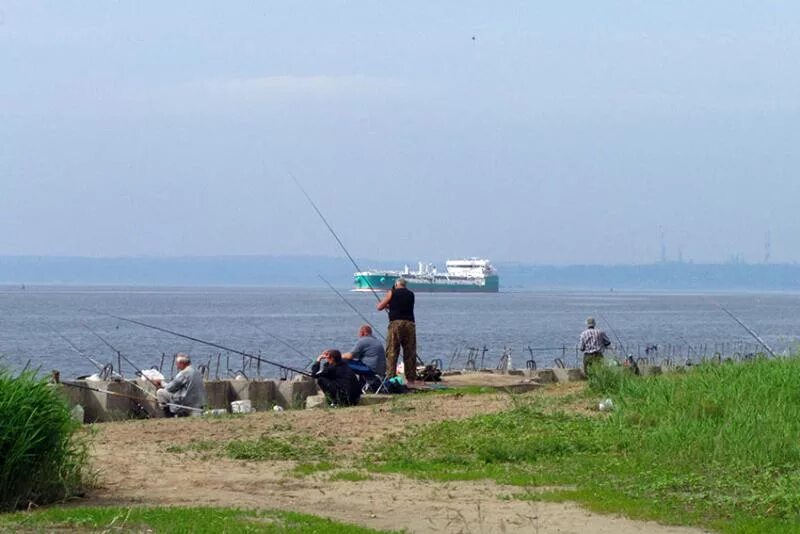 щука на волге. рыбаки на волге. улов на волге. астрахань волга река рыбалка. рыбалка на волге летом.