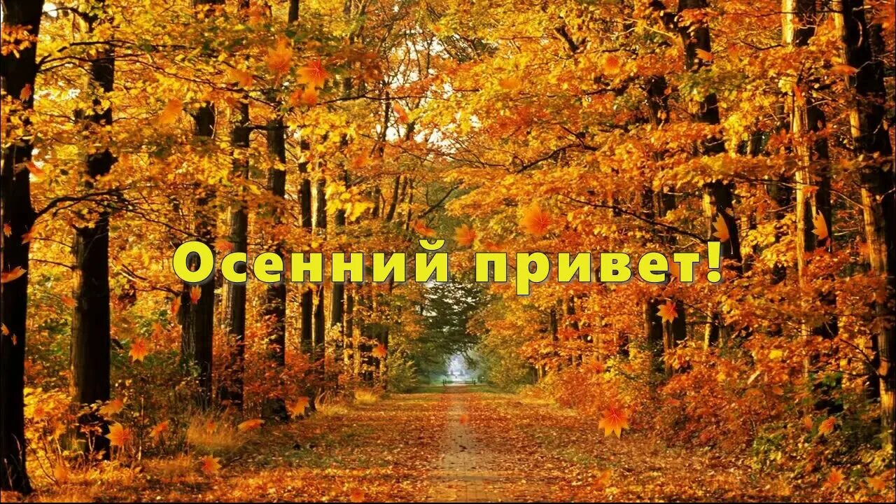Подписать сентябрь. Привет, осень!. фото привет осень. привет сентябрь привет осень. ну привет осень.
