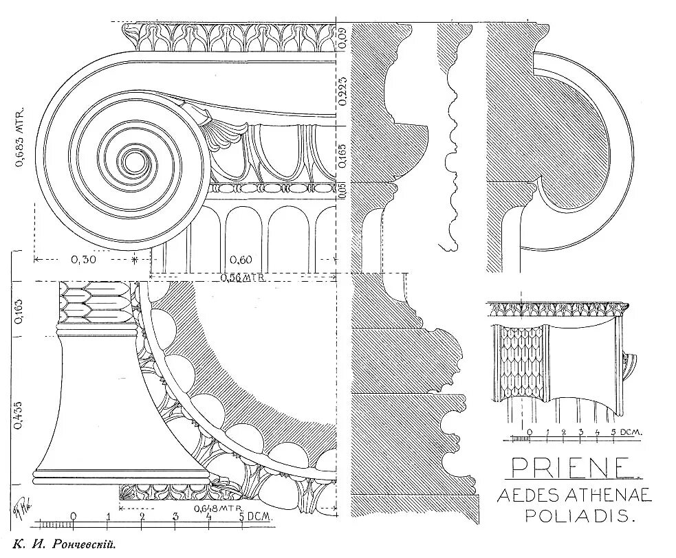 Валюта ордера. Капитель Ионического ордера. Ионическая Капитель чертеж. Ионический ордер храм чертеж. Ионический ордер храм Афины.