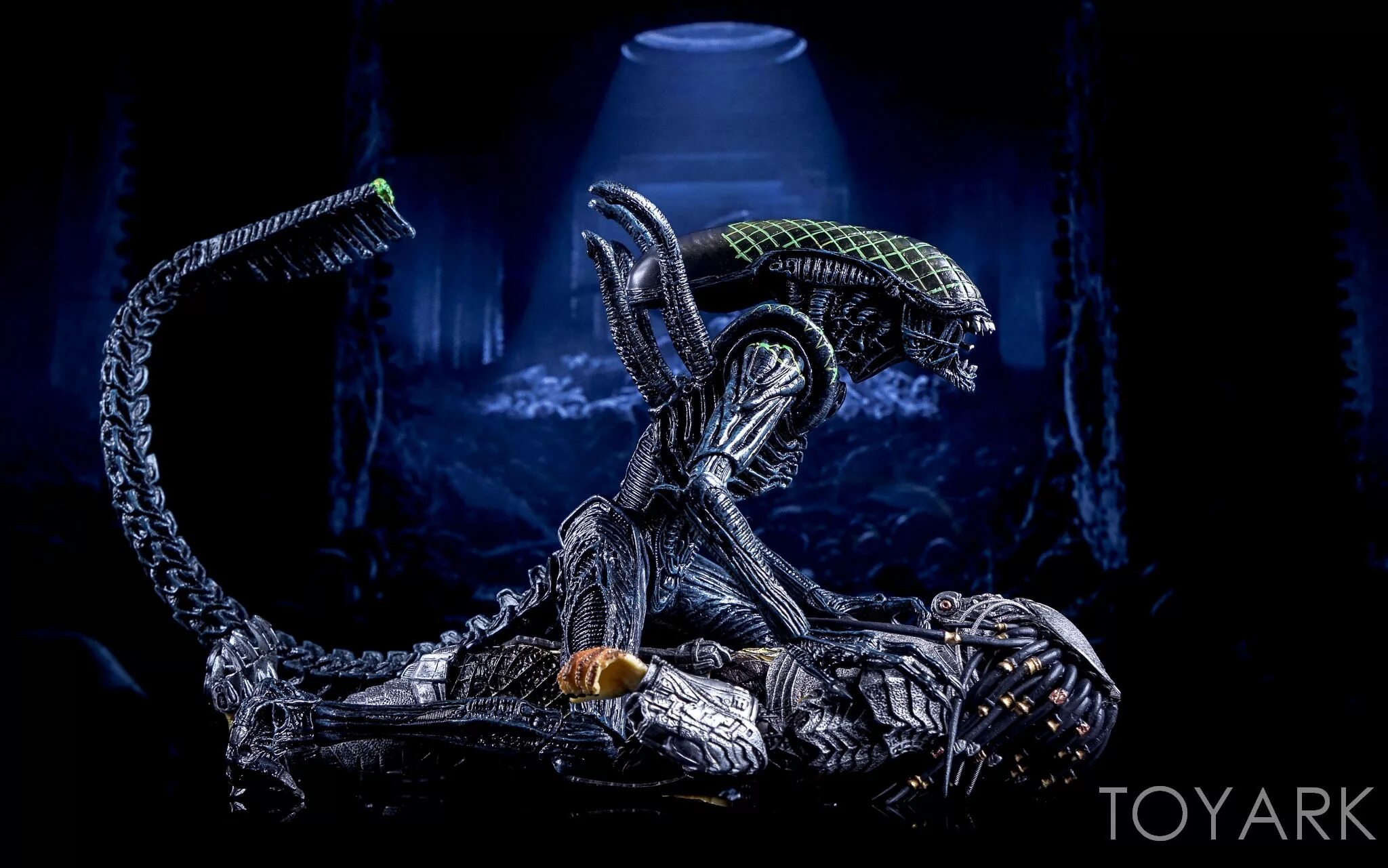 NECA Alien vs Predator. Чужой против хищника 2004. Чужой против хищника 2004 корабль. Чужой против хищника 2004 Королева. Видео чужой против чужого