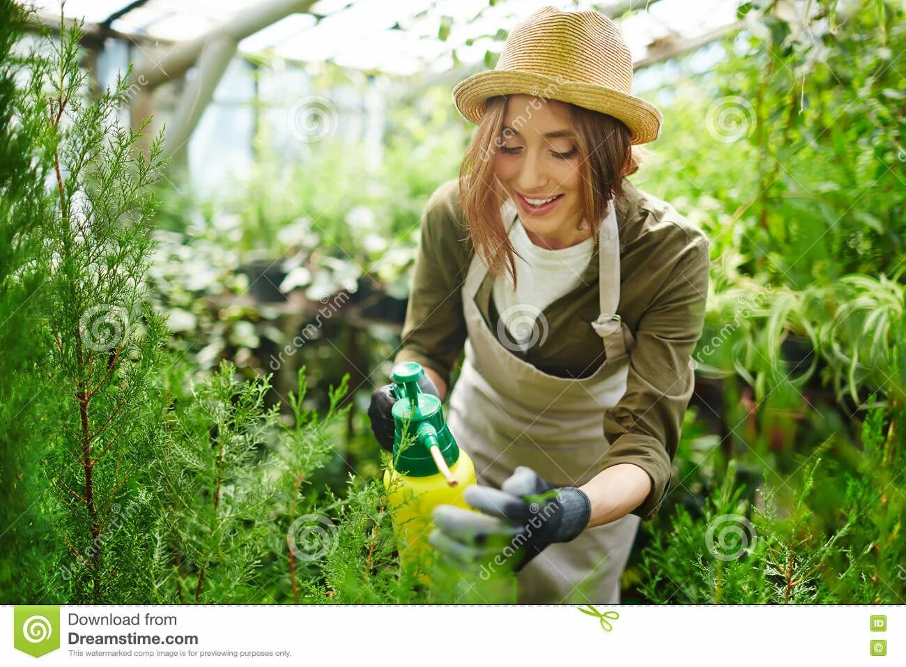 Is it in the garden