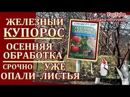 Железный купорос с мочевиной осенью для сада