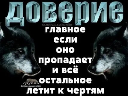 Группа одинокий волк