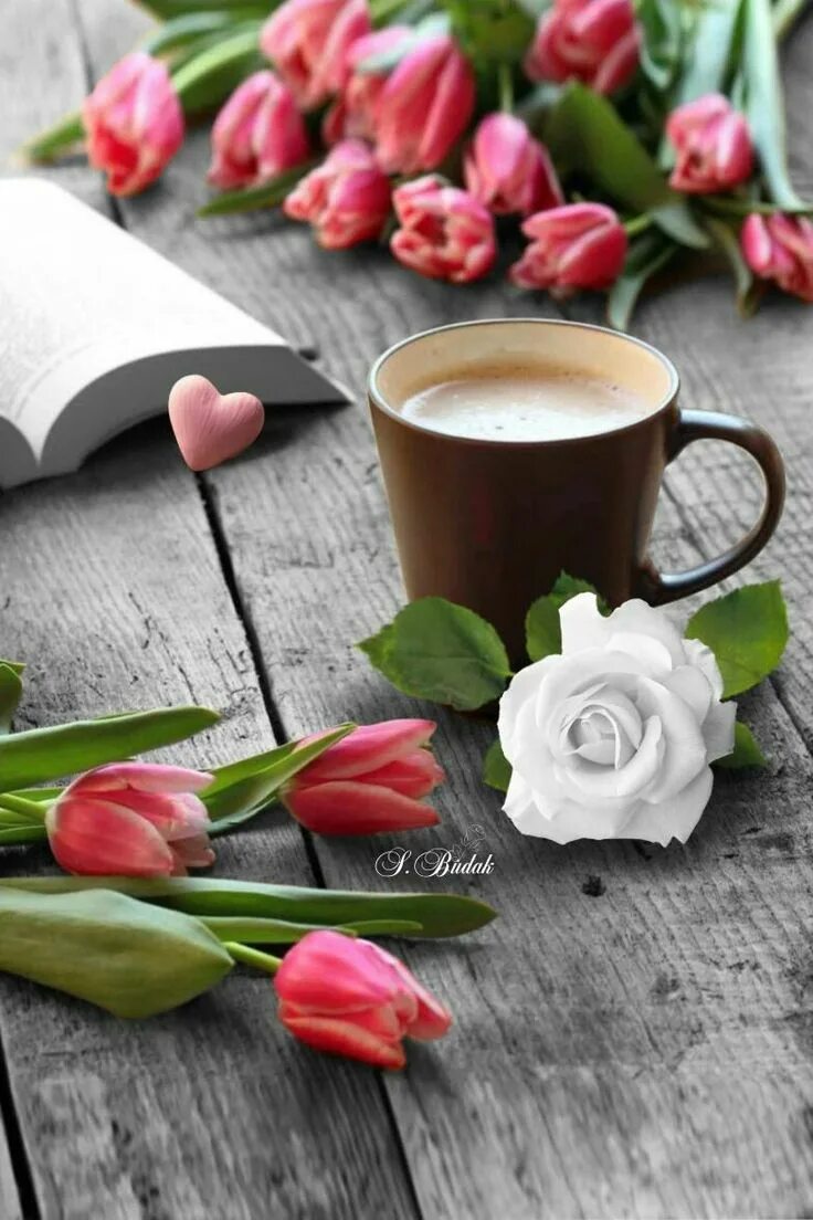 Чашка кофе и цветы. Кофе и цветы. Тюльпаны и чашка кофе. Доброе утро тюльпаны и кофе. Кофе и тюльпаны картинки