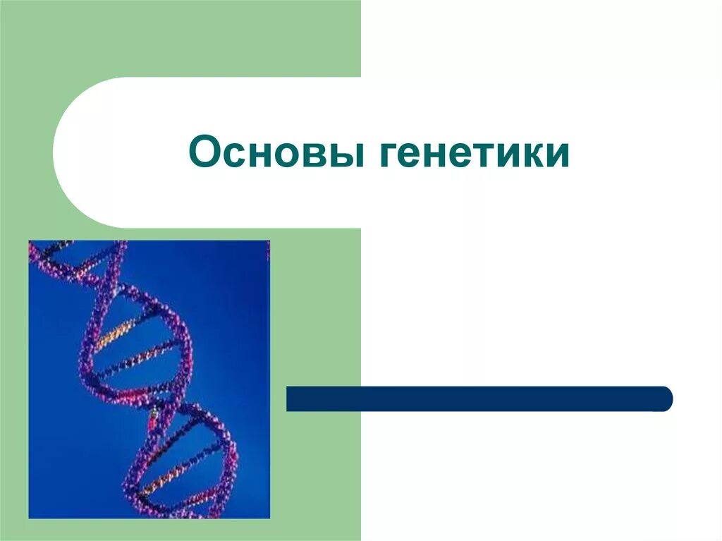 Генетика человека 10 класс биология презентация. Основы генетики. Урок генетики. Основы биологии генетика. Генетика урок.