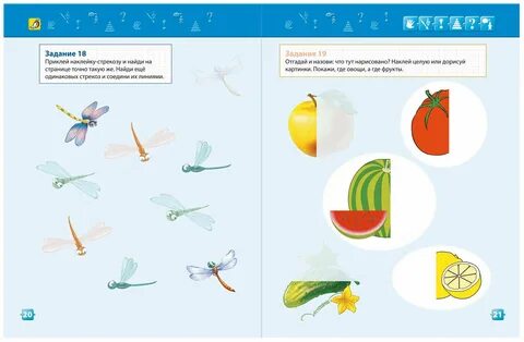 Стрекоза задания