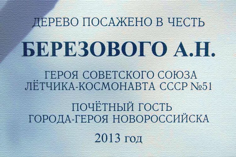 дипломы связи с общественностью