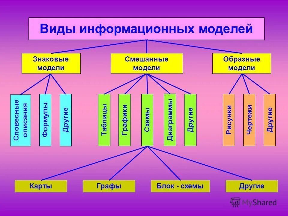 Виды моделей в информатике 6 класс. Виды моделей в информатике 6 класс