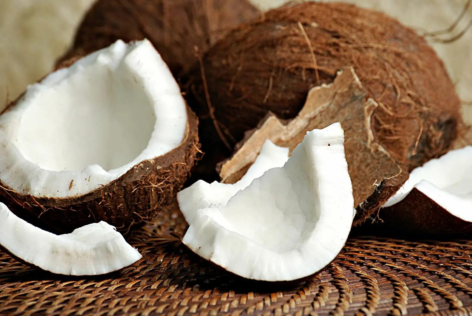 The coconut