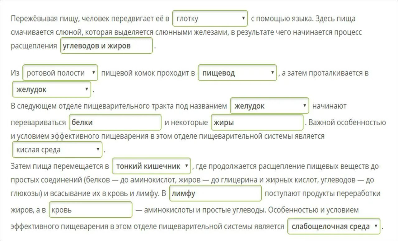 Здесь пища смачивается слюной. Укажи верные термины и дополни текст этапы пищеварения. Установите верные термины и дополни текст этапы пищеварения. Пережёвывая пищу человек пере. Верные термины и дополните текст этапы пищеварения.