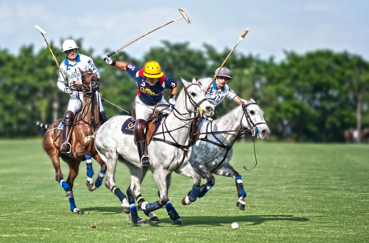 Конное поло в англии. Великобританское конное поло. Polo игра. Конное поло в англии. Поло игра с мячом.