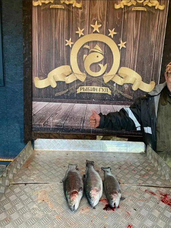 рыбин гуд форум