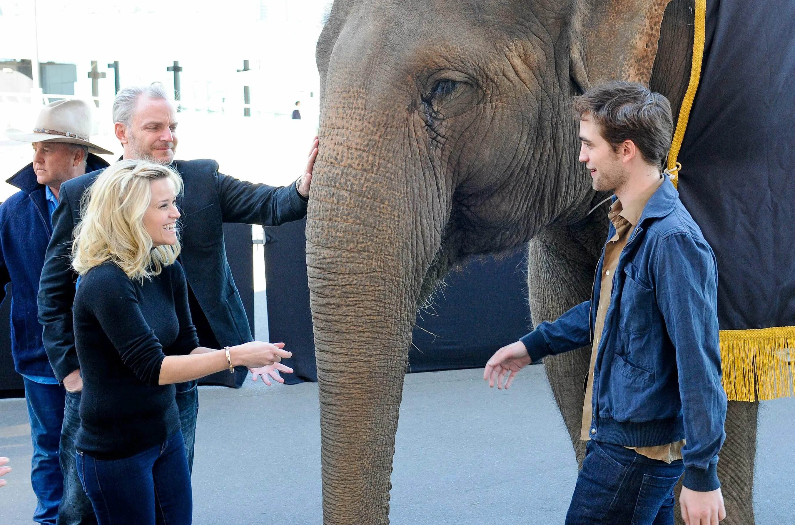 Воды слонам отзывы. Воды слонам! Water for Elephants, 2011.