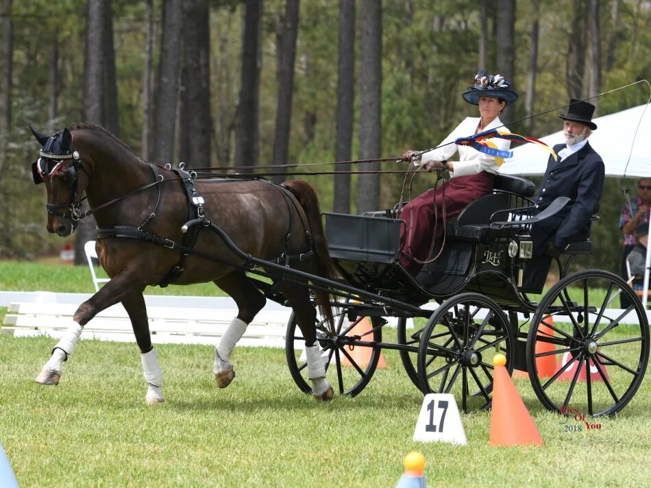 Driving horse