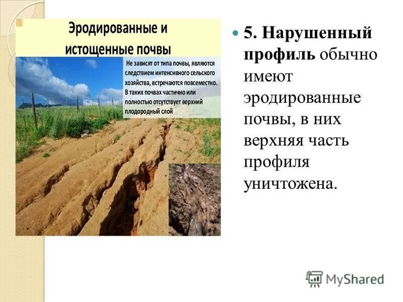 Морфологические признаки почв презентация. Виды и подвиды почвы таблица. Окраска почвы. Перечислите основные внешние признаки почв. Перечислите основные внешние признаки почв.