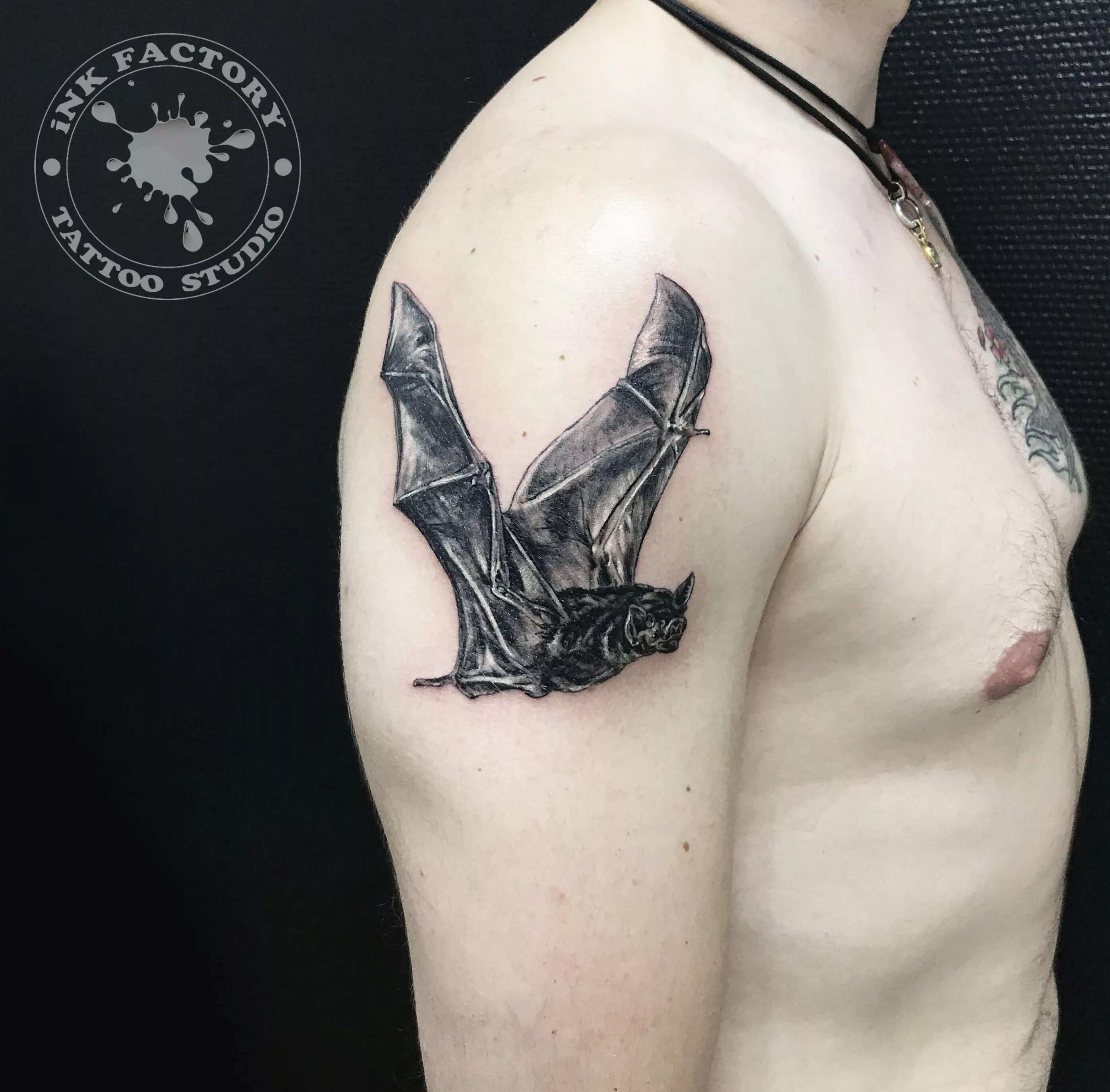 Плечи летучая мышь. Плечи летучая мышь. Тату летучая мышь на груди. Летучая мышь блэкворк. Тату военная разведка летучая мышь.